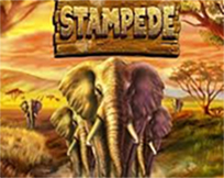 Stampede